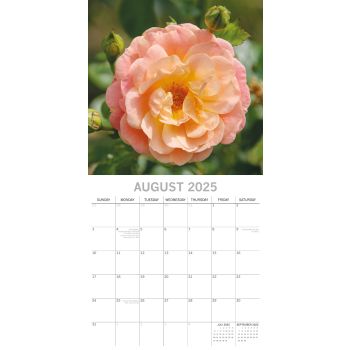 Beauty of Flowers 2025 Square Wall Calendar Floral 16-Month Premium Planner Gift