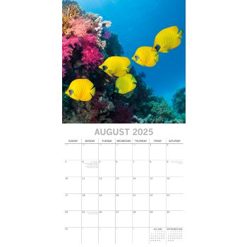 Under the Sea 2025 Square Wall Calendar 16 Months New Year Premium Planner Gift