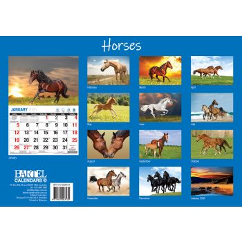 Horses - 2025 Rectangle Wall Calendar 16 Months Animal Planner New Year Gift