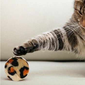 33PCS Cat Toy Set with Tunnel Balls Mice and Interactive Teaser Wands