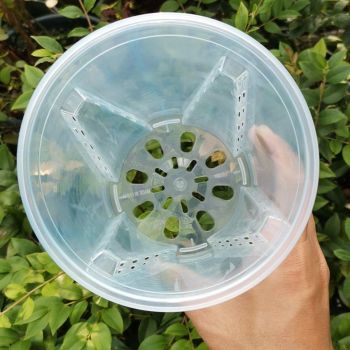 10xClear Plastic Orchid Pots with Holes for Phalaenopsis Root Aeration
