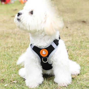 Dog Harness Cat Lead Puppy Leash Vest Mesh Breathe Adjustable Braces Small Pet Orange - XS