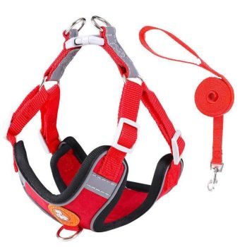 Dog Harness Cat Lead Puppy Leash Vest Mesh Breathe Adjustable Braces Small Pet Red - XXS