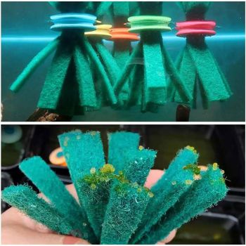 Fish Egg Collector Device Set 10PCS Floating Hanging Breeding Box Aquarium Tank