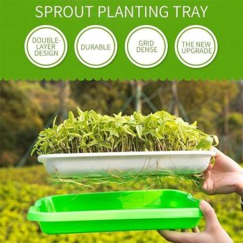 Double Layer Microgreens Tray for Hydroponic Seeding Germination Wheatgrass
