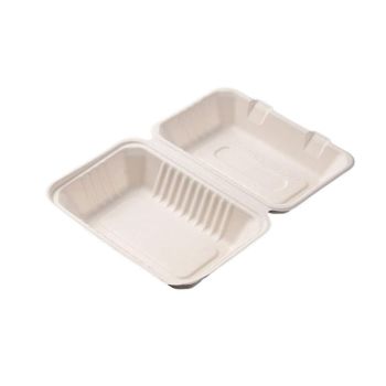 200/250PCS Biodegradable Compostable Ecofriendly Disposable Clamshell Food Box - 81#-200pcs