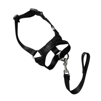 Black Dog Training Head Collar Halter Stop Pulling Training Tool Harness Strap Leader - XXL