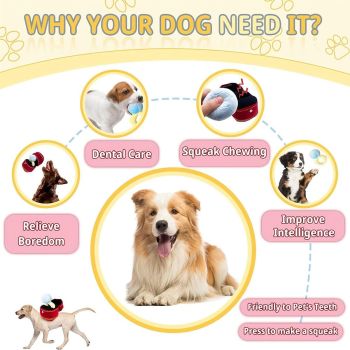 Plush Pet Toy Interactive Ring Box Chew Toy for Dogs and Cats Soft Squeaky Play