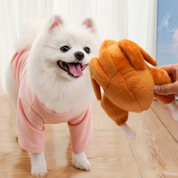 Plush Roast Chicken Dog Toy Squeaky Sound Stuffed Interactive Pet Plaything