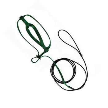 M Pet Parrot Bird Harness Lead Leash Flying Training Rope Cockatiel Outdoor - Blue