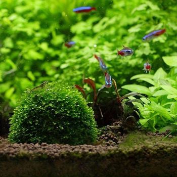 3pcs Aquarium Plastic Moss Ball Fish Decoration Aquatic Plant Accessories