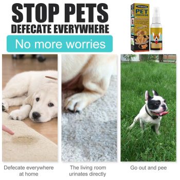 Pet Toilet Training Spray Inducer Dog Poops Cat Pee Urine Positioning Defecation