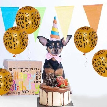 Leopard Spot Print Balloons X 12 Safari Zoo Jungle Farm Animal Party Decoration