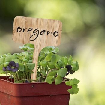 50PCS Bamboo Garden Plant Labels T-Shaped Marker Tags 10x6cm