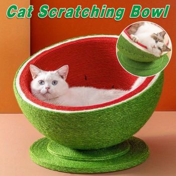 Watermelon Cat Scratching Pot Board All in One Scratcher Toy for Cats Kitten