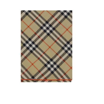 Burberry Women's Scarf - One Size