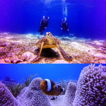 Waterproof Protective Case for Gopro Hero5 - 30m Depth