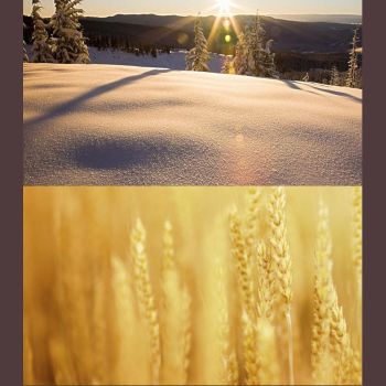 Professional 40.5mm Lens Filter Kit for Gopro Hero4 / 3 / 3+ with Waterproof Housing and Adapter Ring