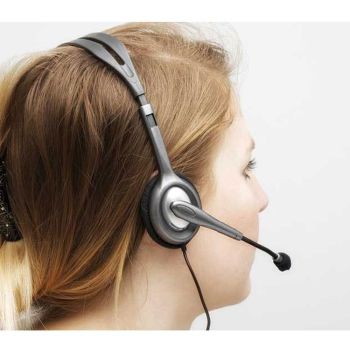 3.5Mm Dual Plug Stereo Headset
