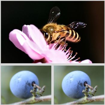 16x Round Filter Housing for Gopro Hero8