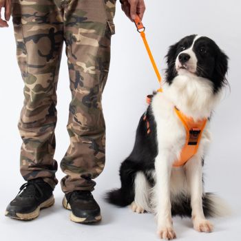 Vibe Geeks Ultimate 2-in-1 Reflective No-pull Dog Harness with Retractable Leash and Control Handle - Orange - L