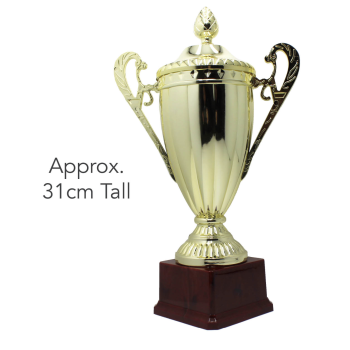 Large Classic Gold Trophy Cup Novelty Winners Prize Solid Achievement Award