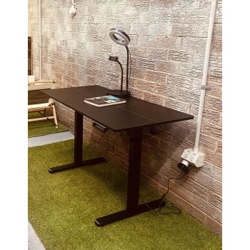 120 x 60cm Electric Standing Desk Height Adjustable Motorised Electric Sit Stand in Black