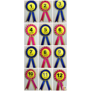 BIRTHDAY BADGE Party Favour Award Rosette Fancy Dress Girls Boys Childrens Kids -