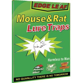 1x Rat Mice Mouse Rodent Bug Cockroach Snare Glue Catcher Sticky Board