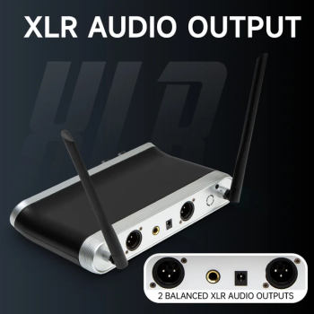 Hridz Wireless UHF Microphone Kit Dual Handheld Mics with 100m Range Receiver for Karaoke Meetings Parties