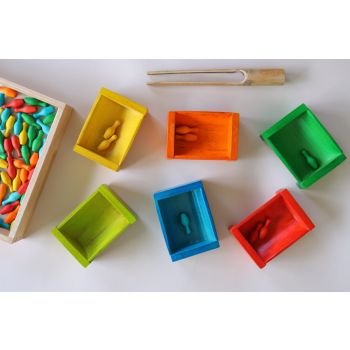 Coloured Bamboo Sorting Containers