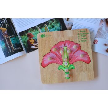Montessori Parts of a Flower Puzzle