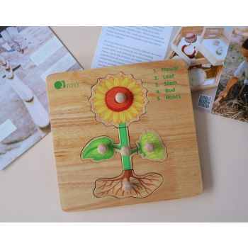  Montessori Parts of a Plant Puzzle