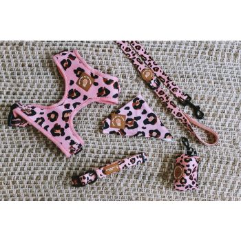  Dog Accessories Bundle Packaged