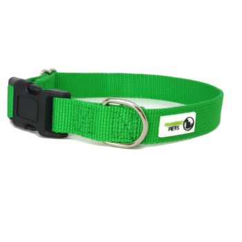 100% Pure Bamboo Fibre Dog Collar Plastic Buckle - Moondidley Pets Large Green