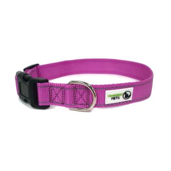 Nylon w/Reflective Stitching Dog Collar Large Purple - Moondidley Pets