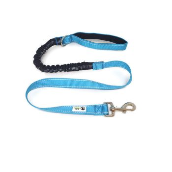 Bungee Dog Lead Nylon w/Reflective Stitching - Moondidley Pets Light Blue