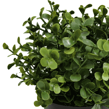 Small Potted Artificial Buxus Plant UV Resistant 20cm