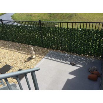 Double Sided Ivy Rolls 3m X 1m