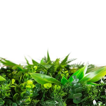 Wild Tropics Vertical Garden / Green Wall UV Resistant 100cm X 100cm