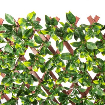 Premium Jasmine Artificial Hedge Extendable Trellis / Screen 2 Meter By 1 Meter UV Resistant (PVC)