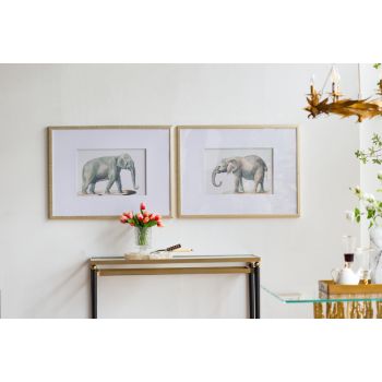 Set 2 Elephant Framed Prints 80cm