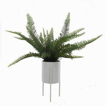 Wyatt Artificial Boston Fern in Ceramic Pot w Stand 56cm