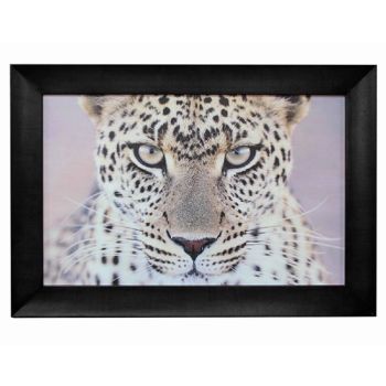 Leopard Portrait Wall Art 110x80cm