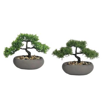 Set 2 Artificial Bonsai in Ceramic Pot Assort 30cm