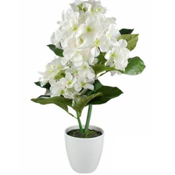 Artificial White Hydranger in White Plastic Pot 10x46cm