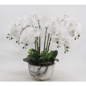Large White Orchid In Marble Look Pot 64cm