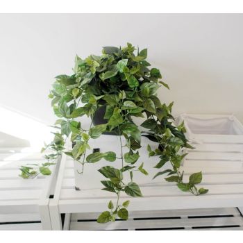 Artificial Ivy in Black Plastic Pot 76cm