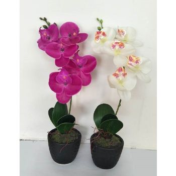 Set 2 Artificial Single Stem Orchid in Plastic Pot 32cm