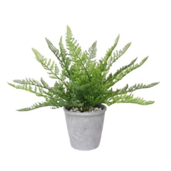 Artificial Fern Plant in Pot 35cm